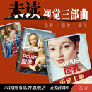 面孔 色彩 图像【单本/套装】构图、配色、人像，从文艺复兴时期到社交媒体时代，佛罗伦萨美术学院入学考试推荐用书 面孔+图像+色彩（套装共3册）