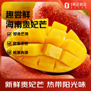 趣尝鲜海南贵妃芒 净重5斤 单果120-200g 即食芒果 源头直发
