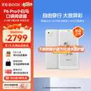 BOOX文石P6Pro小白马 6.13英寸电子书阅读器墨水屏电纸书电子纸阅读本平板电脑看书小屏阅览器 月霜白 