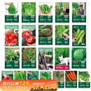 寿禾 蔬菜种子大全春四季香菜生菜西红柿辣椒草莓籽 22种蔬菜种子大全