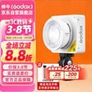 神牛（Godox）ML100Bi摄影灯双色温可调便携夜拍灯人像补光灯户外控制室电影视频摄像灯  ML100Bi【官方标配】