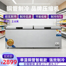 立衍商用大容量卧式冰柜低温冷冻柜超市食品冷藏柜节能电子冷柜雪糕卧式冰箱展示柜 2088单温铜管智能温控2.6米长双压缩机