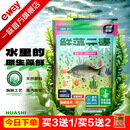 化氏[鲜藻元素]2026新品鱼饵钓鱼饵料台钓鲫鱼鱼食鳊鯪鱼青黄尾鱼饵料 鲜藻元素【3包装】送大红鲫(100g)1包