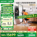 AEKE力量镜  AI智能综合力量站家用多功能健身器材全身运动训练器械 A1力量镜 标准版金*限时赠麦克风