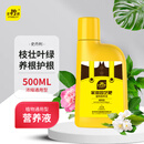 史丹利营养液花肥料家用盆栽植物通用型水培发财树富贵竹花卉绿植500ml