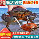 福建东山岛鲜活青蟹特大红鲟膏母蟹野生黄油螃蟹顺丰空运蝤蠓礼盒 大红膏蟹2斤共3-4只