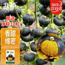 北蔬 贝贝南瓜种子种苗板栗味阳台盆栽种菜蔬菜种籽 贝贝南瓜种子10粒