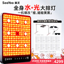 SEAYEO昔又大排灯Pro Max光子嫩肤美容仪红蓝光面罩面膜仪家用美容仪器 Max