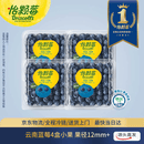 怡颗莓Driscoll's 云南蓝莓12mm+ 4盒装 约125g/盒 新鲜水果 源头直发