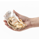 鲜活大冷水生蚝180-230g/个