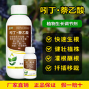 奥潍奥丰5%吲丁萘乙酸快速生根健壮植株正品农用植物生长调节剂农药 1L*7箱