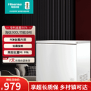 海信（Hisense）300升家用单温全冷冻卧式冰柜大容量节能减霜商用冷柜300S1HNKQD 珍珠白