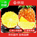 京觅海南金钻凤梨净重8.2-8.7斤单果2斤起 新鲜水果手撕 源头直发包邮