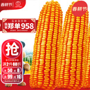 大禹郑单958玉米种子国审产高矮大棒杂交抗旱抗倒官方正品矮杆包谷 国审郑单958玉米种子4斤约1亩地用