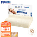 邓禄普（Dunlopillo）盖伊雅舒睡波浪枕 荷兰进口特拉雷Talalay天然乳胶枕物理发泡工艺