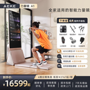 AEKE力量镜  AI智能综合力量站家用多功能健身器材全身运动训练器械 A1力量镜 标准版金*限时赠麦克风