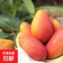 正宗海南贵妃芒当季薄皮芒果新鲜当季热带水果整箱发货  京东快递 带箱5斤 净重4.5斤装 单果70g起