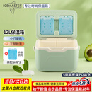 冰大师 ICEMASTER车载保温箱保热箱户外露营食品冷藏箱便携商用摆摊冰块冷冻箱12L