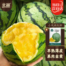 北蔬小凤西瓜种子苗礼品型黄肉超甜水果种籽 小凤西瓜种子10粒*2袋