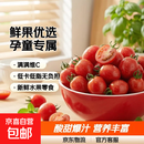 广西红色圣女果小番茄新鲜水果沙拉新鲜 超实惠带箱5斤净重4.9斤