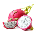 越南白心火龙果2粒900g