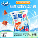 龙王恨鱼饵蓝鲫青春版六蟲腥香饵料黑坑野钓鲫鱼鲤鱼草鱼鳊鱼饵料鱼食料 蓝鲫青春版-六蟲腥香(300g)*1