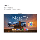 华为（HUAWEI）99新 MateTV Pro 75英寸 旗舰手机级性能 灵犀创新交互 超高清液晶 会议平板电视机 HD75EDIJ 二手 MateTV Pro 75英寸12+256G 挂架