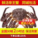 喵和渔【活鲜】鲜活帝王蟹俄罗斯整只帝皇蟹大螃蟹阿拉斯加活螃蟹 4.1-4.5斤/只【鲜活发货】