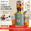 小熊（Bear）榨汁机 原汁机渣汁分离 多功能家用全自动冷压榨果汁橙汁压榨器果蔬机110mm口径F02E3