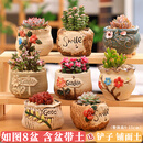 花翁多肉植物含盆土组合桌面室内小盆栽陶瓷花盆老桩红宝石源头直发