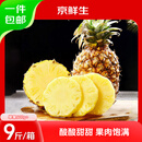 京鲜生云南版纳凤梨净重9斤单果600g+新鲜水果生鲜 源头直发