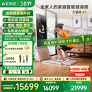 AEKE力量镜  AI智能综合力量站家用多功能健身器材全身运动训练器械 A1力量镜 标准版金*限时赠麦克风