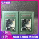 云中岳武侠精品：剑仗天涯 上下册云中岳太白文艺出版社