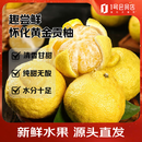 趣尝鲜湖南怀化黄金贡柚 净重5斤 单果170g+ 时令生鲜 源头直发