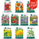 北蔬花种子大全四季开花太阳花室内室外植物向日葵花卉籽 10种花种子