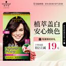 施华蔻（Schwarzkopf）怡然染发霜4.0/9自然棕色 染发剂染发膏自己染男女盖白发热门商品