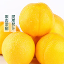 大连黄金油桃450g（单果60g+) 