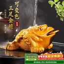 八千行金蟾茶宠摆件高端变色可养吸财招财茶具配件茶桌风水精品蟾蜍