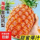 海南特产金钻凤梨当季新鲜水果脆甜多汁凤梨香甜无眼正宗新鲜 金钻凤梨1个装【小果】