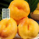 黄金油蟠桃450g（单果60g+） 