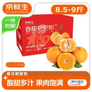 京鲜生 四川春见耙耙柑 净重8.5-9斤水果礼盒 单果170g+ 源头直发包邮