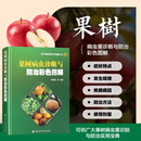 果树病虫诊断与防治彩色图解 现代植保新技术图解丛书 全彩图解苹果梨树葡萄桃树山楂树杏树樱桃草莓病虫害诊治预防方案 园艺农艺参考书籍 中国农业科学技术出版社