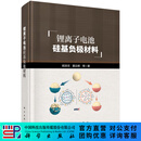 【官方首发现货】锂离子电池硅基负极材料/ 郑洪河 黄云辉 等