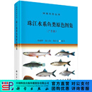 [按需印刷]珠江水系鱼类原色图集(广东段)/李新辉，陈方灿，梁沛文 科学出版社