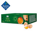 精选鲜鸡蛋  1.5kg 1.5kg