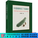 中国植物拉丁名解析/刘琪璟 科学出版社