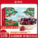 京觅大连美早樱桃车厘子 3J级净重1.8斤 单果12-15g水果礼盒源头直发