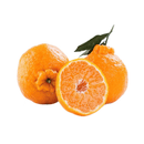 不知火丑柑约1kg（单果180g+） 