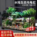 ZHIYAO生态缸造景超白玻璃缸小型绿植水草苔藓造景水陆鱼龟混养专用缸 60雨林豪华全套【缸+做好成品发货+设备】