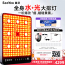 SEAYEO昔又大排灯Max光子嫩肤美容仪红蓝光面罩面膜仪家用美容仪器 Max